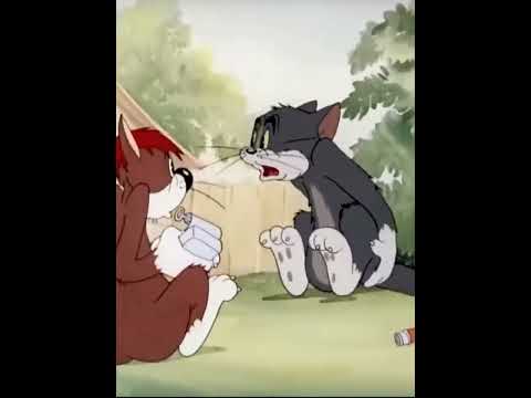 Том и Джерри (переозвучка) 10 часть - YouTube