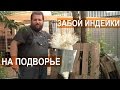 Правила забоя индюков в домашних условиях