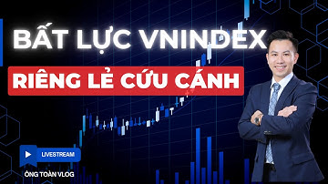 ĐẦU TƯ CHỨNG KHOÁN | Chứng khoán hôm nay | Nhận định thị trường: BẤT LỰC VNINDEX - RIÊNG LẺ CỨU CÁNH