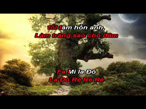 Cảm âm karaoke tình đơn phương (Bb4)
