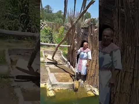 الزراعة عند المصرى القديم