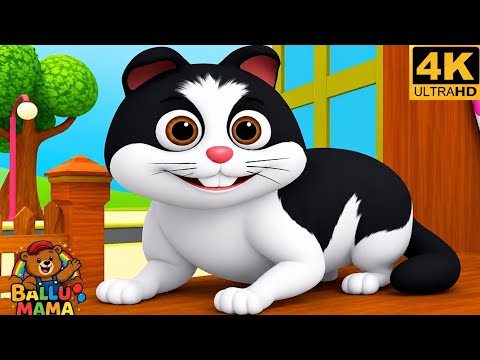 Meow Meow Billi Kerti Meow | म्याऊँ म्याऊँ बिल्ली करती म्याऊँ | Hindi Rhyme | Nursery Rhyme for Kids