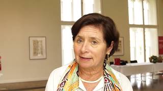 "Soft power is the power of attraction": Prof Cynthia P Schneider at Asialink Arts' PDA Forum screenshot 5