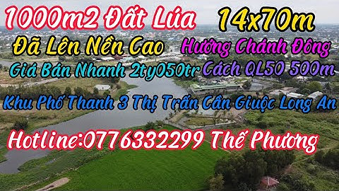 Bán 1000m2 Đất Lúa (14x70m) Sổ Hồng Riêng Đường Xe Hơi Giá 2ty050tr Cách QL50 Chỉ 500m Cần Giuộc