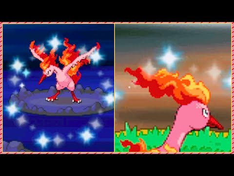 Shiny Wild Moltres EPIC ENCOUNTER! !