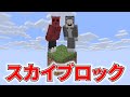 【マイクラ】小学生と1ブロックの世界でプレイしてみた！【小学生と1ブロック#1】