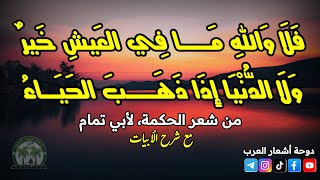 من شعر الحكمة لأبي تمام | إذا جاريت في خلق دنيئا | مع شرح الأبيات