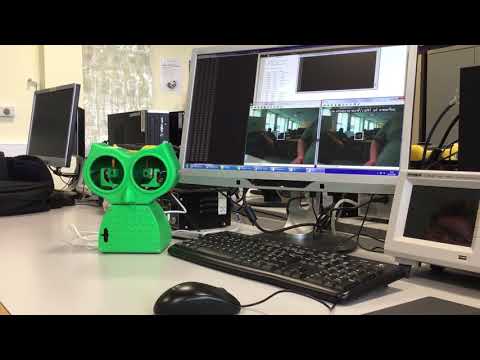 Video 3 human eye tracking