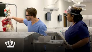 Introducing Brock Virginia Health Sciences at ODU
