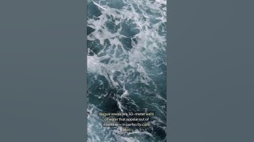 Rogue waves are real  and terrifying