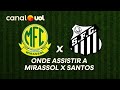 Mirassol x Santos ao vivo: transmissão e horário ⚽