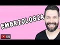 EMBRIOLOGIA - DESENVOLVIMENTO EMBRIONÁRIO | Biologia com Samuel Cunha