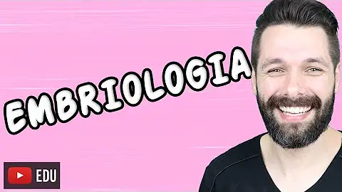 Quais são os tipos de reprodução das esponjas?