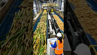 how to make a sugar in factory amazing video..#production #sugarcane #sugar #viral #shorts