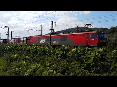 【2019/10/30】遅3079ﾚ(隅田川→東青森)