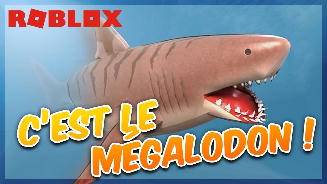 Le Meilleur Requin De Sharkbite Roblox Youtube - le meilleur requin du monde roblox