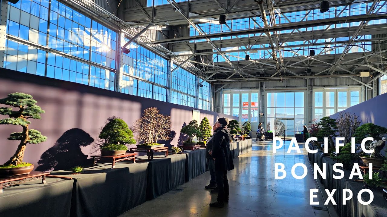 2022 Inaugural Pacific Bonsai Expo (The Bridge Yard, Oakland California