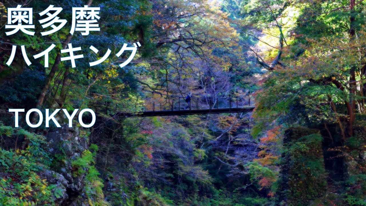 【Скрытый природный регион Токио: Окутама, ЯПОНИЯ】Походы с красивыми осенними листьями! Треккинг