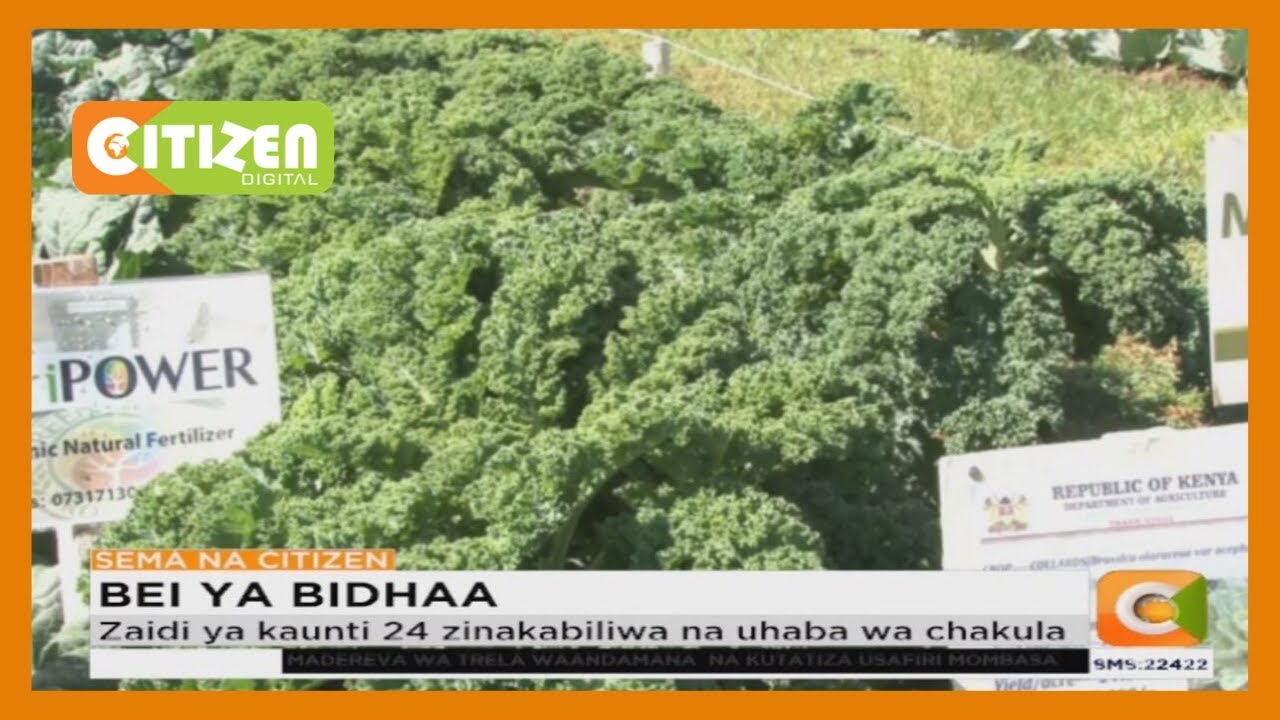 citizen tv live stream kenya Zaidi ya Kaunti 24 kukabiliwa na uhaba wa chakula