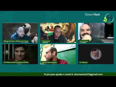 O dia que o novo polímata apareceu na live. Será que deu treta?