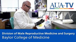 The Importance of Male Reproductive Medicine & Surgery - Baylor College of Medicine