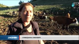 Pešter - Tri Meseci Žeđi