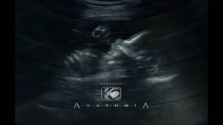 Subbassa instrumental  - K2 - Mila morska [Anatomia LP]