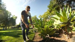 Introducing the DJI Osmo - BuyDJi.ca