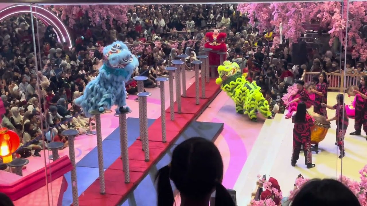 Barongsai #bandung #barongsai  #summareconmallbandung #imlek #hiburan #cny #sincia #gongxifachai