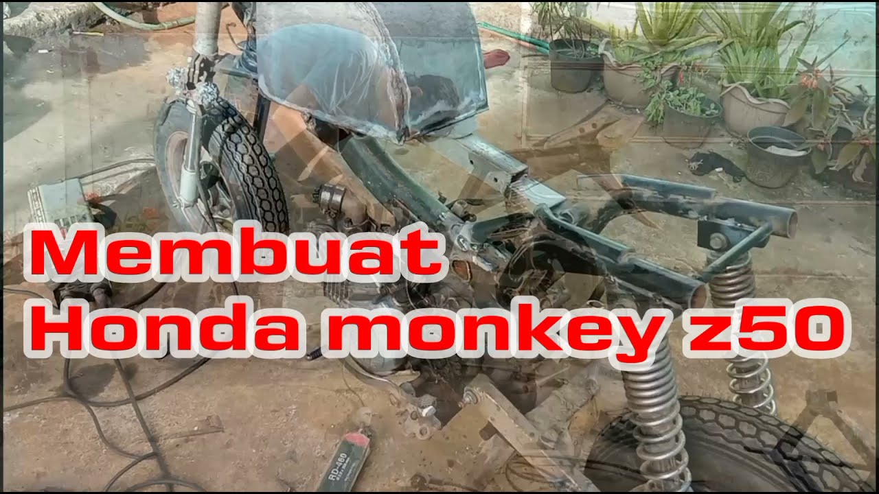 Membuat Honda monkey z50 basic karisma