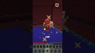 Boxing vs 2 Piglins