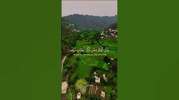 تلاوة تفوق الوصف #islamic_video #اكسبلور #تلاوة #المصحف #islamicquan #duet #aslam #trend