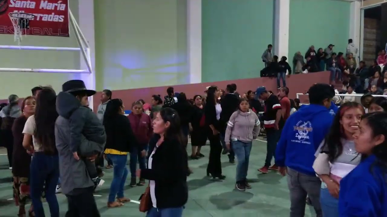 Lobo Mixteco En Santa María Albarradas 16 Agosto 2023