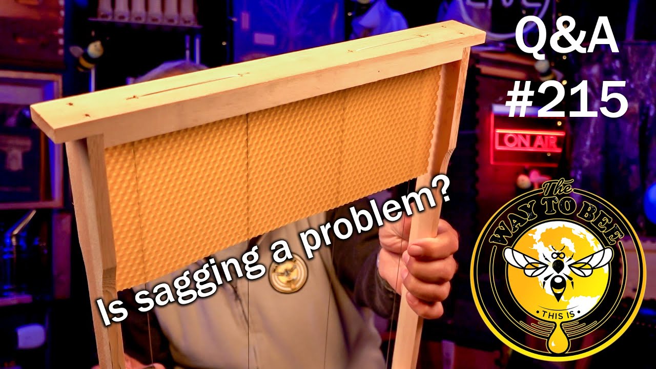 Backyard Beekeeping Questions and Answers Episode 215, sagging