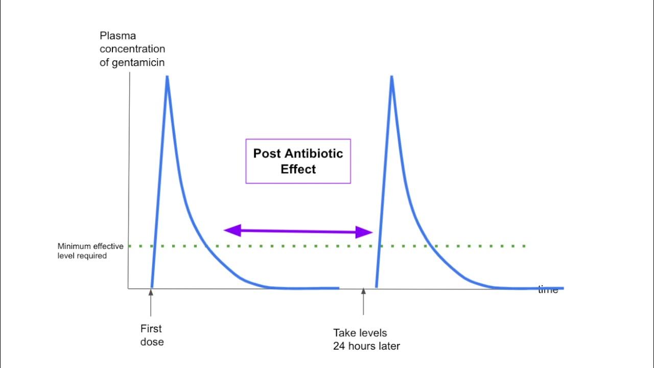 Why gentamicin levels are taken dosing, monitoring