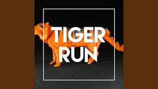I Think I Like It - Tiger Run