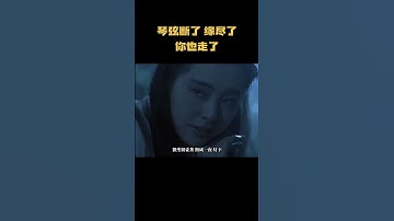 Thumbnail of 琴弦断了 缘尽了 你也走了#音乐 #音乐解说 #music