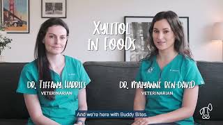 Xylitol in Foods for Dogs// Vet Tips - Buddy Bites Dog x Pets