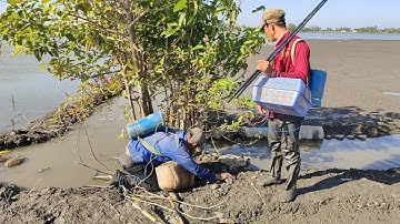 kết hợp cặp đôi xiệt cá lóc cá trê ếch mùa nước giật quá hay 