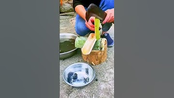 Quick snail cutting  -  a good tool can improve work efficiency
