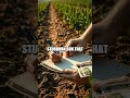 Pastures and Pages: A Diary of Rural Life