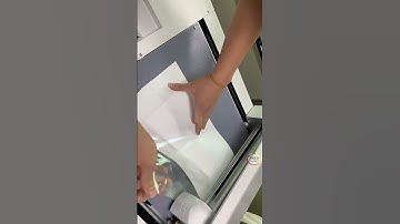 Label Die Cutter Automatic Cutting Machine