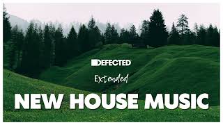 Defected New House Music Extended 2023-11-03 Resimi