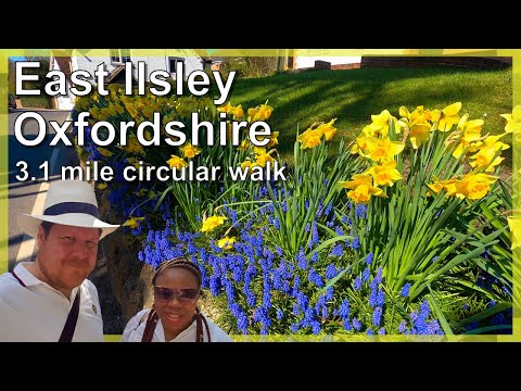 Oxfordshire 3.1 mile circular walk: East Ilsley