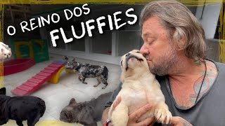 ATUALIZAÇÃO DAS INSTALAÇÕES DOS BULDOGUES FLUFFIES | A CASA DOS BICHOS