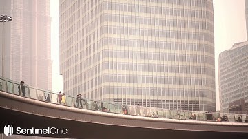 SentinelOne H1 2018 Enterprise Risk Index Report