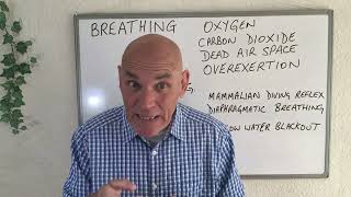 PADI IDC Theory - Physiology - Respiration