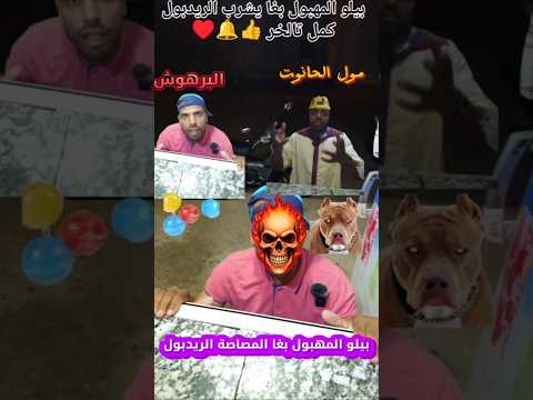 بيلو المهبول بغا يشرب الريدبول   ضحك      