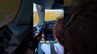This is what landing a plane looks like from a pilots perspective #shorts