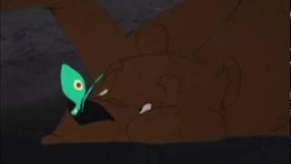 Transient.mov